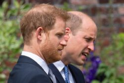 William ‘screamed and shouted’ at Harry during Megxit summit, duke claims