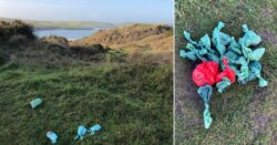 Dog owner disgusted after finding 37 poo bags on same footpath