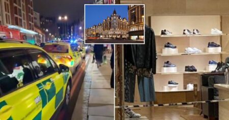 Man stabbed in Harrods after ‘fight over Louis Vuitton watch’