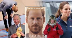 The wackiest reveals from Prince Harry’s new book