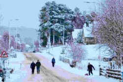 UK weather: Met Office warns of travel delays as freezing fog hits – after temperatures drop to -6C