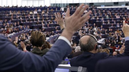 MEPs launch hotline to tip off Big Tech’s ‘shady lobbying’ in EU institutions