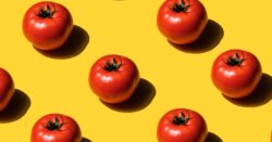 How to grow your own tomatoes – tips from an expert