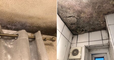 Family evicted from home of 10 years after complaining about mouldy flat