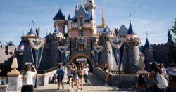 Mum falls to death off Disneyland parking structure