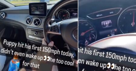 Mercedes driver filmed himself hitting 149mph with a puppy in the passenger seat