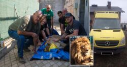 Rescuer heading back to Ukraine in converted British ambulance to save zoo animals from Russians