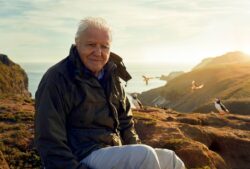 Creators of David Attenborough’s new BBC series were ‘nervous’ about bird flu risk for broadcasting legend