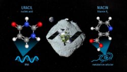 Ingredients for life on Earth might have come from space, suggests new discovery