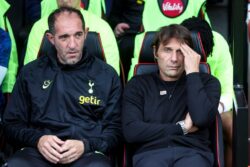 Cristian Stellini ‘sad’ over Antonio Conte sacking at Tottenham