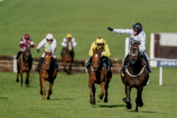 Unique ‘superstar’ Constitution Hill storms to hurdle glory at Cheltenham Festival