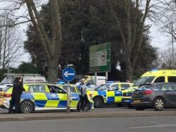 Four arrested after boy, 16, stabbed to death in broad daylight