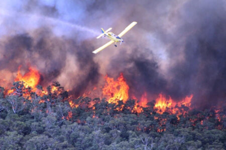 Australia’s east gripped by heatwave as bushfires continue to rage  