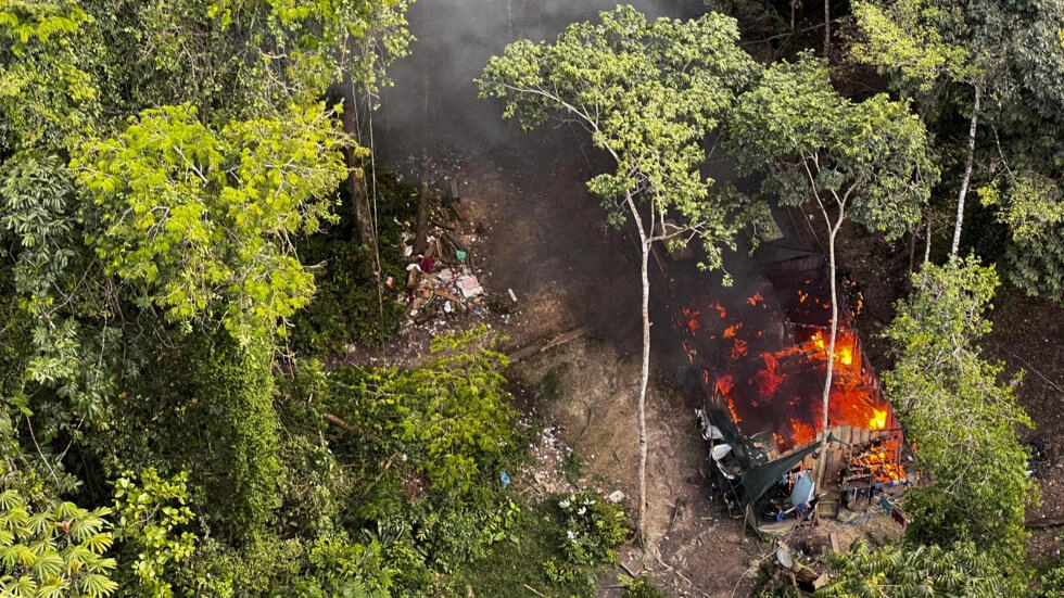 EU Parliament adopts ban on imports driving deforestation - climate change