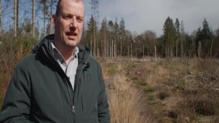 Netherlands: Dutch farmers protest against nitrogen plan
