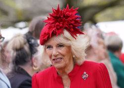 If King Charlies III dies will Camilla become a reigning queen? Succession rules explained