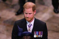 Did Prince Harry go to the coronation of King Charles III?