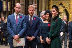 Harry and Meghan ‘not contacted by royal family’ after car chase allegations