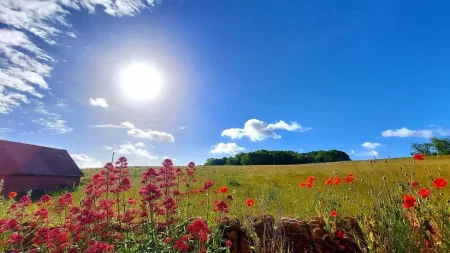 Bank Holiday weekend soaring heat and lots of holiday offers