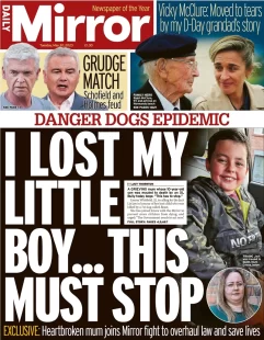 Daily Mirror – I lost my little boy … this must stop 