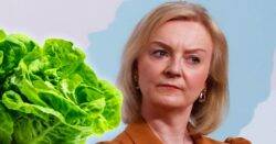 Liz Truss takes 242 days to break silence on being compared to a lettuce