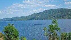 Loch Ness tourists spot ‘huge dark shape’ making waves in water