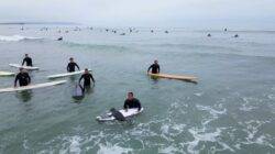 Baby seal tries to ride the waves off California coast to the delight of surfers