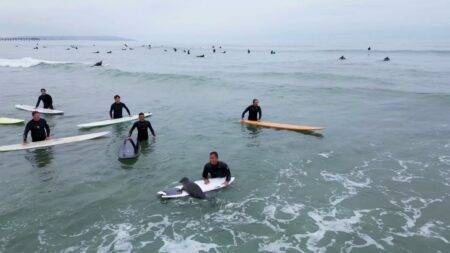 Baby seal tries to ride the waves off California coast to the delight of surfers