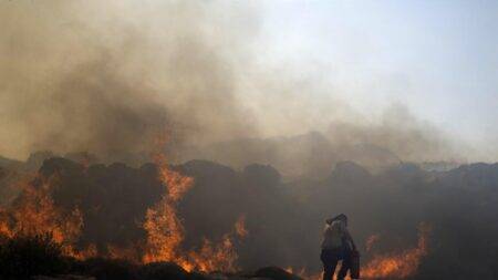 As new wildfires rage in Greece, a survivor and a firefighter share their stories