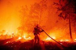 Canada wildfire: Firefighter dies tackling British Columbia blaze