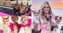 Barbie-loving owner spends over £34,000 on her pampered pooches