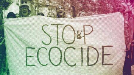 The planet can only be protected from short-sighted politics by criminalising ecocide