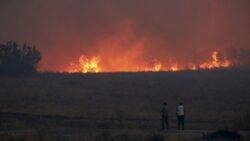 Wildfires rage in southern Europe as soaring temperatures persist