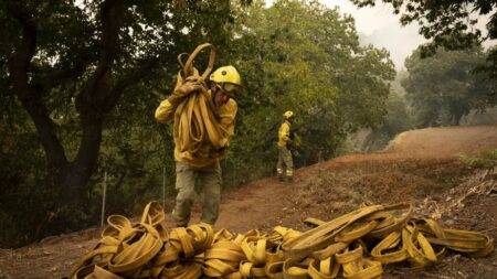 Tens of thousands flee as wildfires rage in Tenerife and Canada