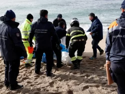 Forty-one migrants die in shipwreck off Italy