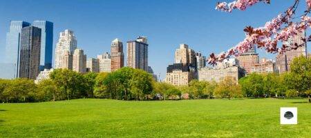 Everything you need to know about Central Park