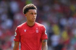 Wales boss Rob Page backs Brennan Johnson to be a success at Tottenham