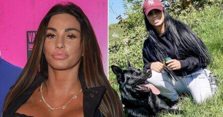 Katie Price ‘adopts another dog’ despite petition and deaths of previous pets