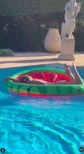 Elizabeth Hurley sends fans into meltdown as she sunbathes without a stitch on