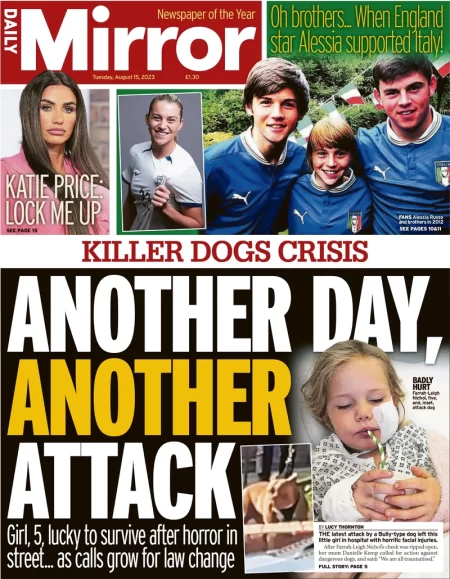 Daily Mirror – Another day, another attack 