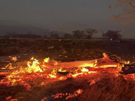 Hawaii fires: At least 53 dead and 1,000 missing as entire town ‘gone’