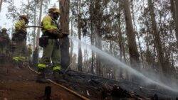 Wildfires in Tenerife: A paradise island stares out at an inferno