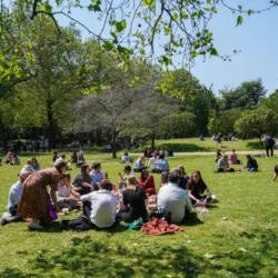 UK heatwave: Heat-health alert in place as temperatures to hit 32C