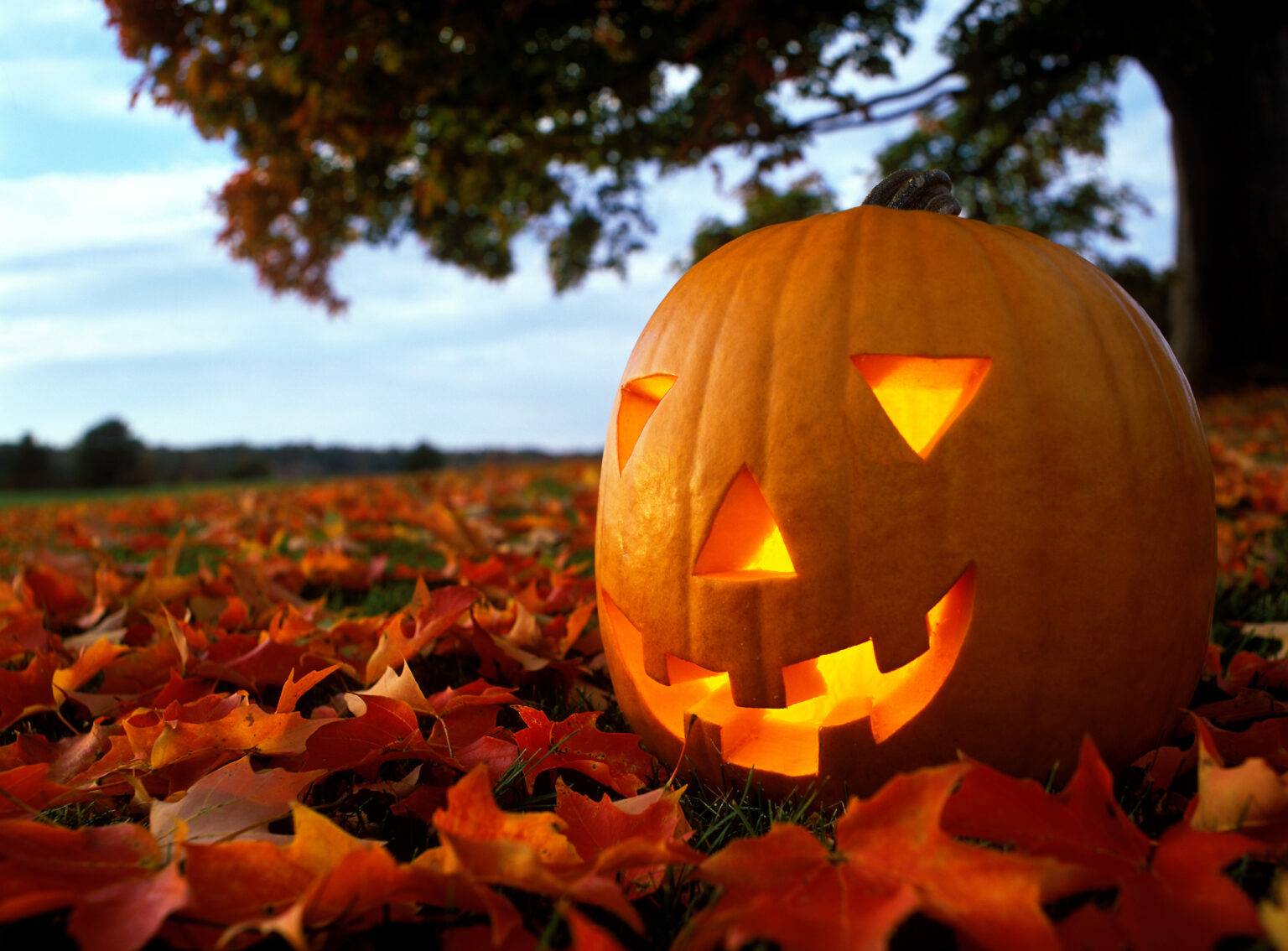 As the weather begins to cool and the nights draw in – what day does Halloween fall on in 2023?