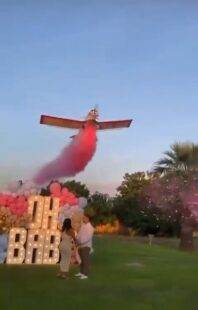 Shocking moment plane crashes during gender reveal party killing pilot