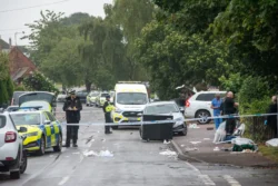 Man dies after being mauled by two dogs yards away from primary school