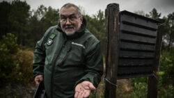 Foresters race against time as tree parasites destroy French woods