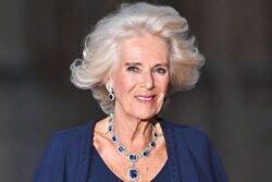 How to make Queen Camilla’s favourite dinner in 10 minutes – ‘you cannot beat it’