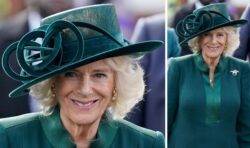 Queen Camilla pays tribute to Queen Elizabeth II with fab brooch – plus a striking hat