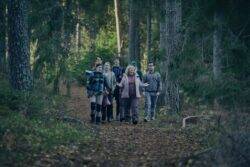 You’ll never try office team building after watching Netflix’s ‘brutal’ Swedish slasher horror